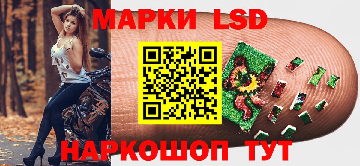 Сокол  Наркотические марки 1,5мг  Вход с VPN 