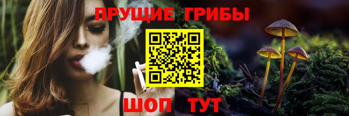 Псилоцибиновые грибы мухоморы  цена   Псилоцибиновые грибы ЛСД  Сокол  Вход с VPN 